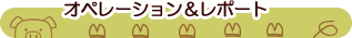 ڥ졼ݡ